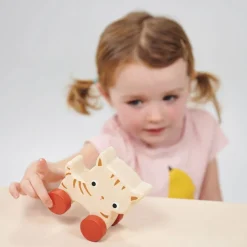 Baby Wood Toy Bundle