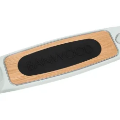 Banwood Scooter Mint