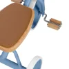 Banwood Trike - Blue