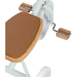 Banwood Trike- Pale Mint