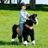 Black Model U Ride-On Horse - 7+ Years
