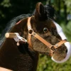 Chocolate Brown Ride-On Horse - 7+ Years