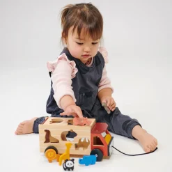 Explorer's Sorting and Stacking Bundle