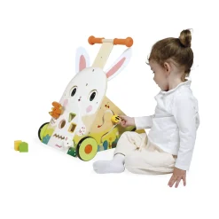 Farm Multi-Activity Baby Walker