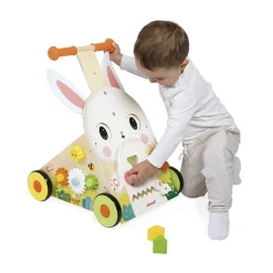 Farm Multi-Activity Baby Walker