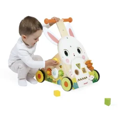 Farm Multi-Activity Baby Walker