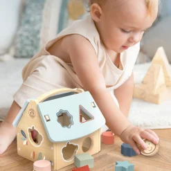 House Shape Sorter