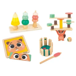 Janod Developmental Activity Box - 36 Months