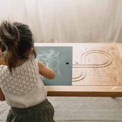 Land, Sand and Water Activity Learning Table