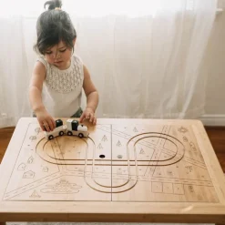 Land, Sand and Water Activity Learning Table