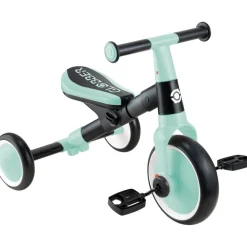 Learning Trike 2 in 1 - Mint