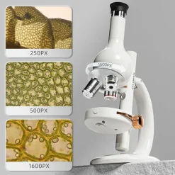 Microscope Lab Edition