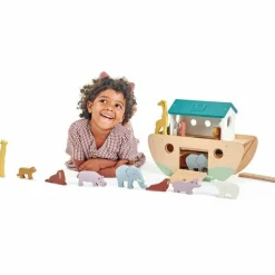 Noah's Wooden Ark