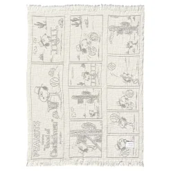 Peanuts Blanket Comic Dessert