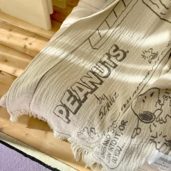 Peanuts Blanket Comic Flightschool