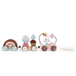 Pull Along Activity Train - "After The Rain" Collection