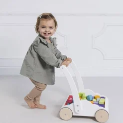 Rainbow Baby Walker & Puzzle - 45 Blocks