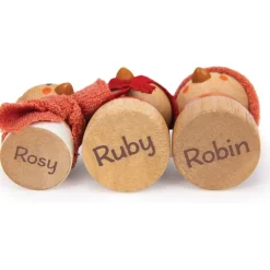 Robin's Nest Box