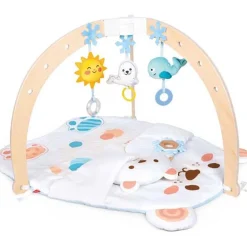 Snuggle Bear Activity Gym