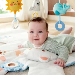 Snuggle Bear Activity Gym