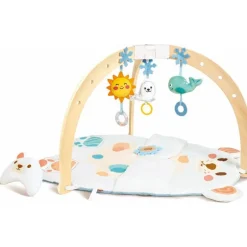 Snuggle Bear Activity Gym