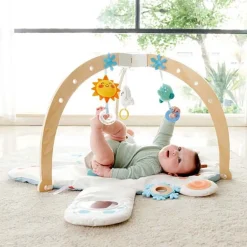 Snuggle Bear Activity Gym