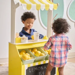 Sunny Citrus Lemonade Stand Playset with Interactive Accessories