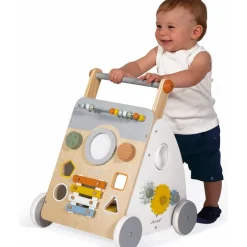 Sweet Cocoon Multi-Activity Walker