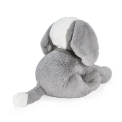 Sweet Floppy Mutt Steel Plush - 10