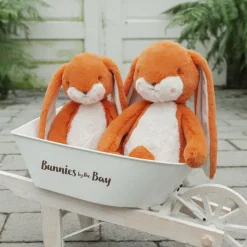Sweet 16" Floppy Nibble Bunny – Carrot