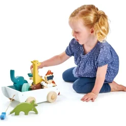 The Friend Ship Wooden Playset
