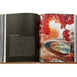 Trope New York Book Leather Edition