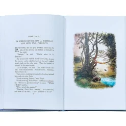 Winnie The Pooh Book Leather Edition