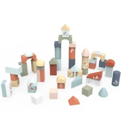 Wood Building Blocks Set of 50